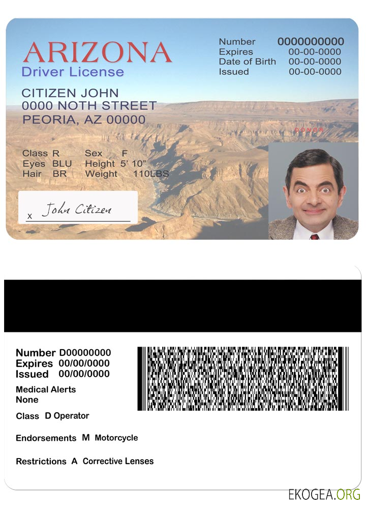 Usa Arizona driving license version 2 template